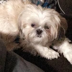 Meet your Posher, Paola